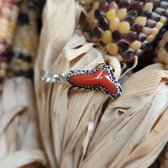 Beautiful NWOT Native American Navajo Natural Coral Pendant ❤️ - Picture 7 of 8